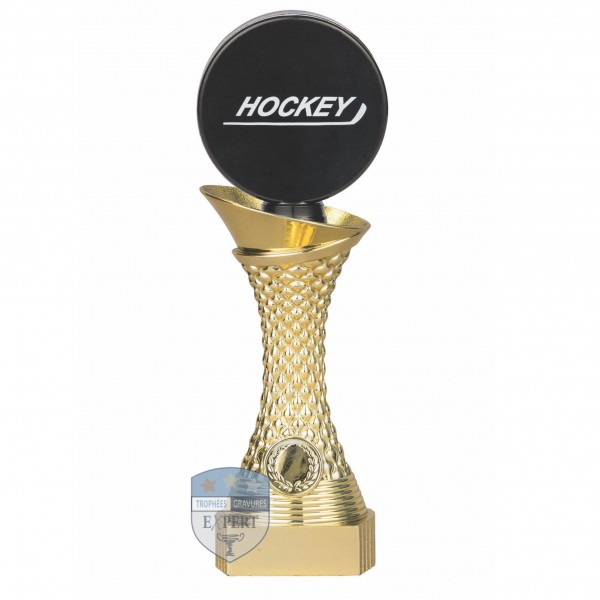 Personnalisé Hockey Verre Plaque Trophy Award-Gravé Hockey trophées 