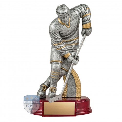 Trophée Hockey ~ JOUEUR