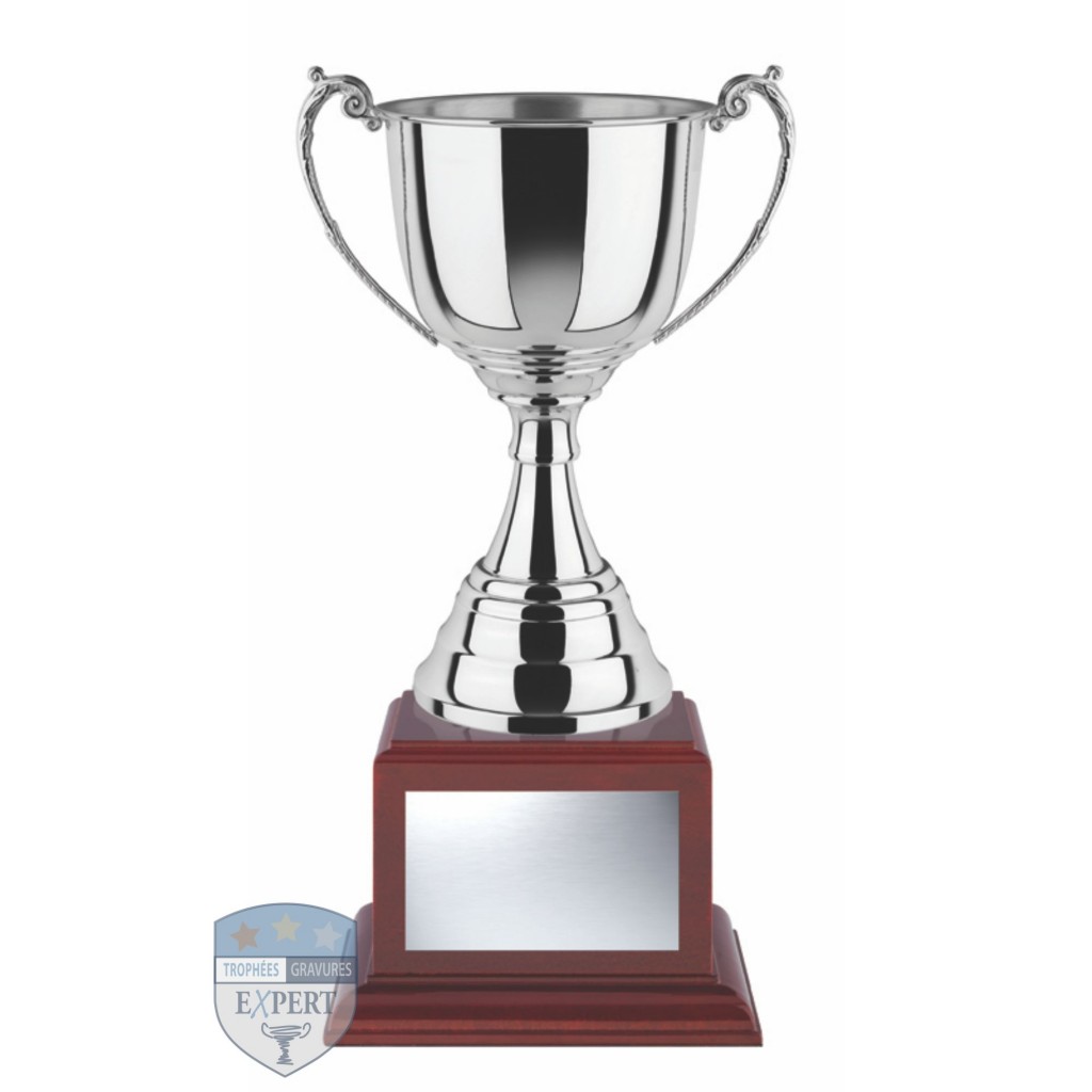 Trophée Coupe Sportive – Générique – Pour Récompenser Vos Champions