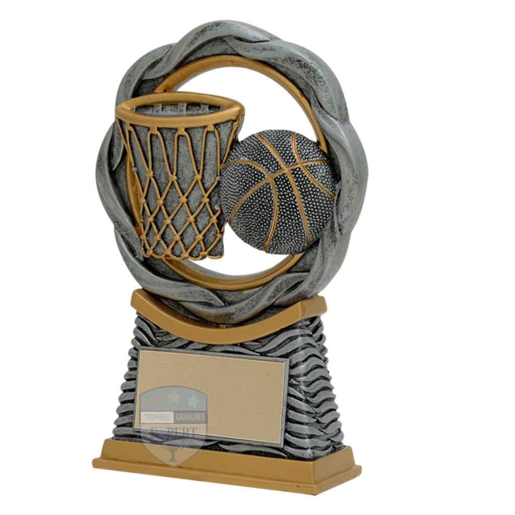 Ballons de Basket-ball Extérieur | Wilson, Spalding, Molten | NBA