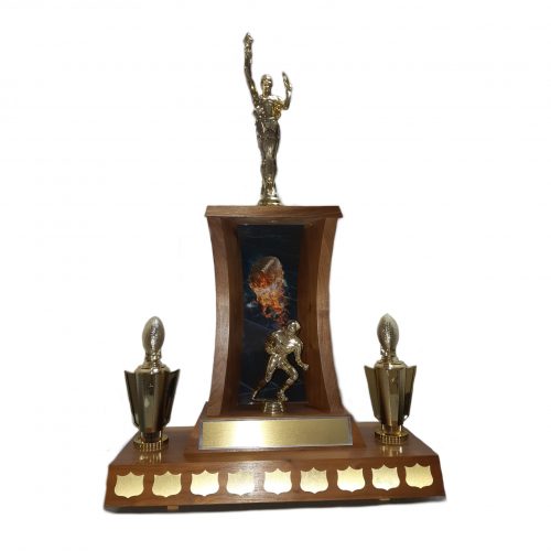 Trophée Football ~ TGE-football-annuel